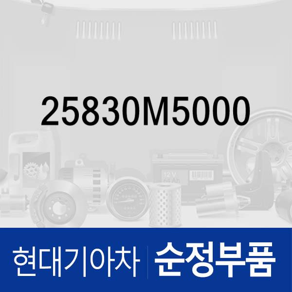 워터 필터 (25830M5000) 넥쏘 현대모비스부품몰 - 현대모비스 순정부품